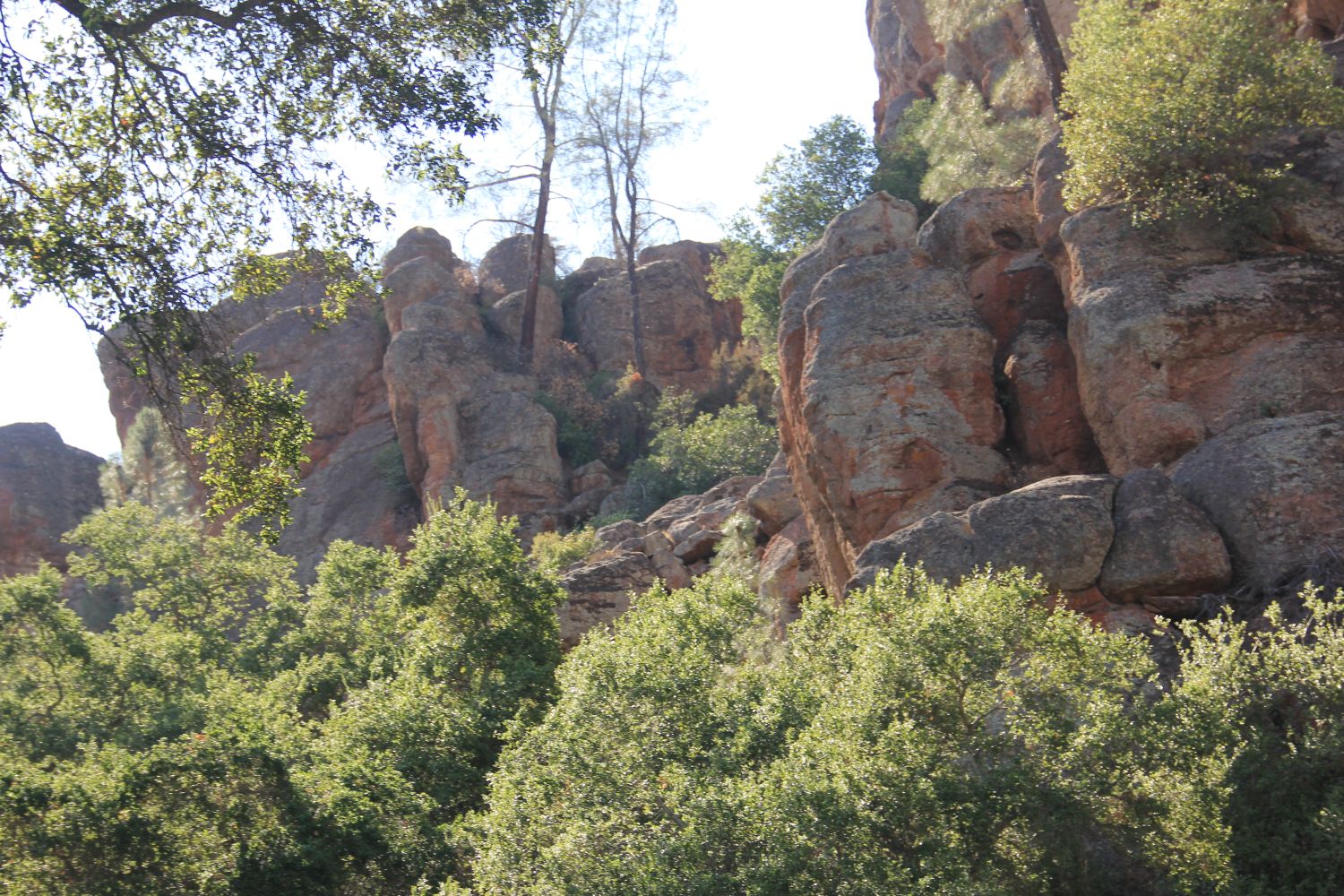 Bear Gulch Cave Trail 